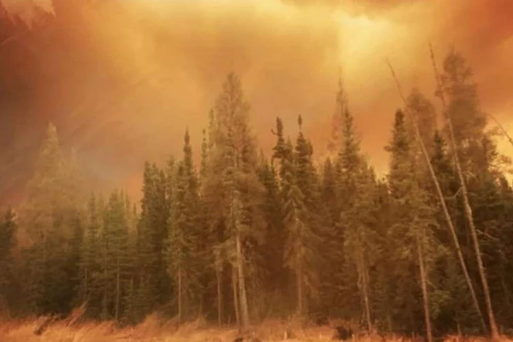 Kanada orman yangınlarıyla boğuşuyor! Binlerce kişiye tahliye kararı