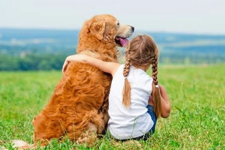 Köpek sahibi olan kız çocukları daha aktif