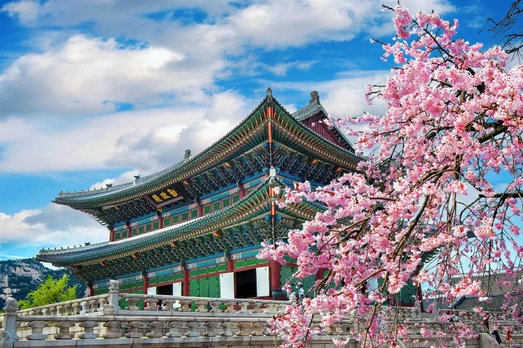 Kore'de tarihin izinde: Gezilecek muhteşem yerler
