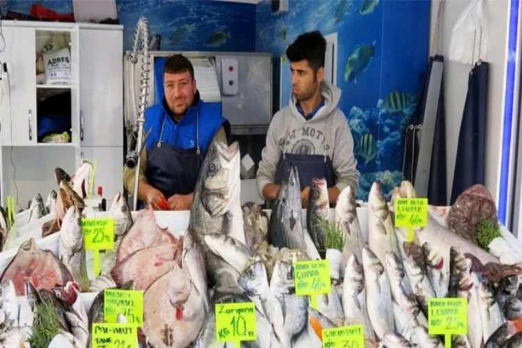 Marmara'da balık bereketi