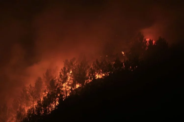 Marmaris'te orman yangını: Sabotaj var mı?