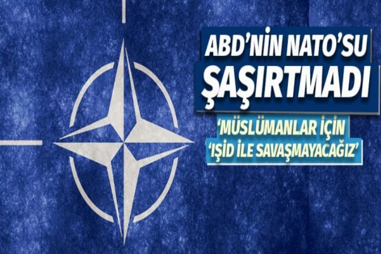 NATO'dan 'IŞİD' açıklaması