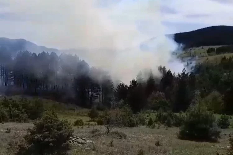 Ormanlık alanda çıkan yangında 1,5 hektarlık alan zarar gördü