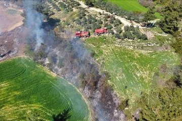 Osmaniye'de orman yangını! Kontrol altına alındı