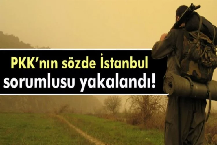 PKK'ya İstanbul'da ağır darbe