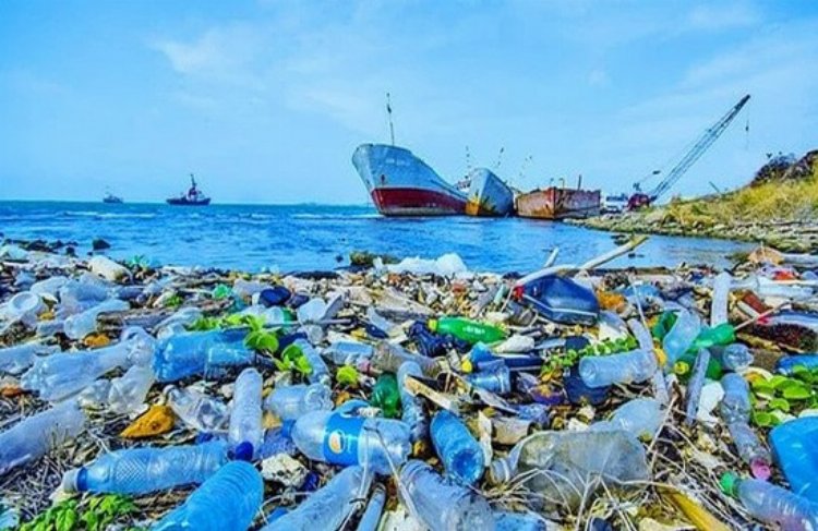 Plastik geri dönüşümü: Deniz kirliliğiyle mücadelede çözüm arayışları Bursa Hayat Gazetesi -2