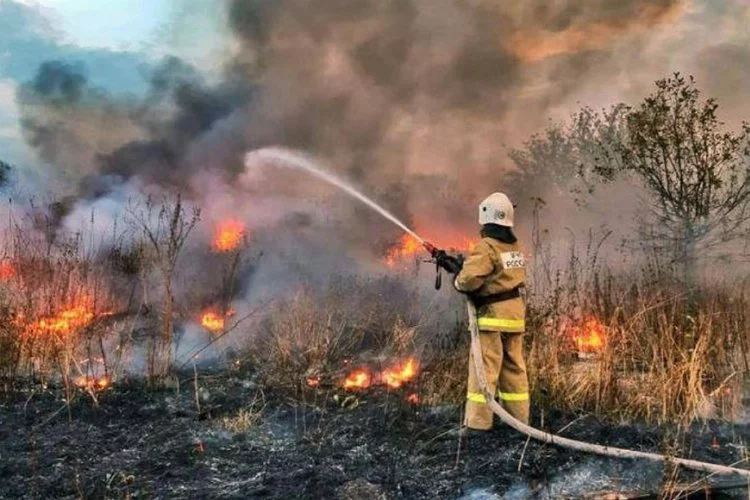 Rusya'da orman yangınlarına müdahale sürüyor