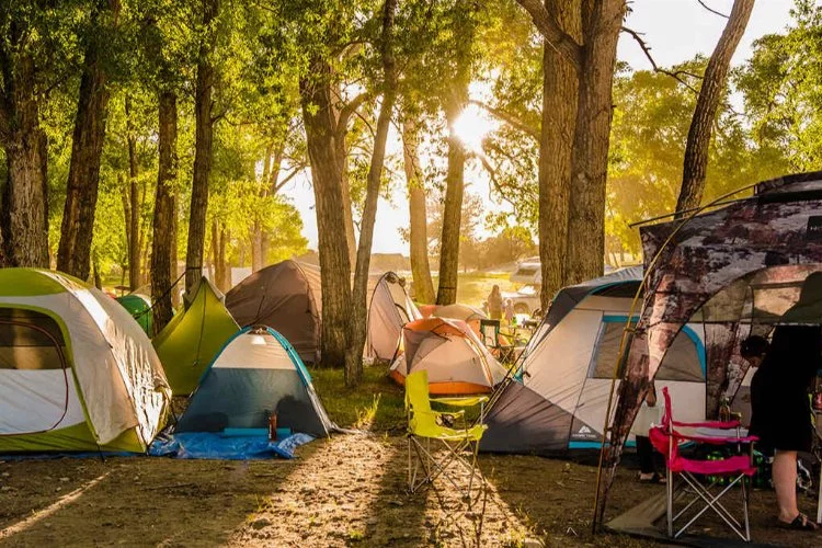 Eko-kampçılık: Doğa ile uyumlu kampçılığın önemi ve uygulamaları