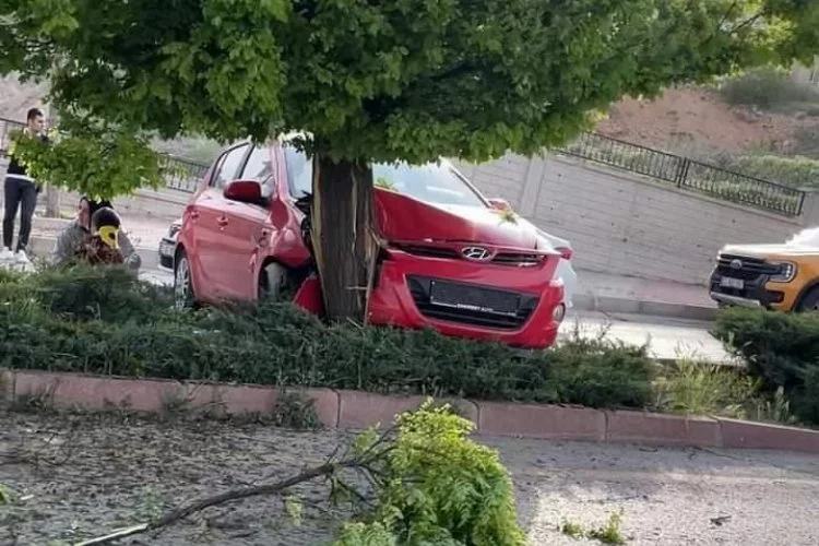 Sürücüsünün kontrolünden çıkan araç ağaca çarptı