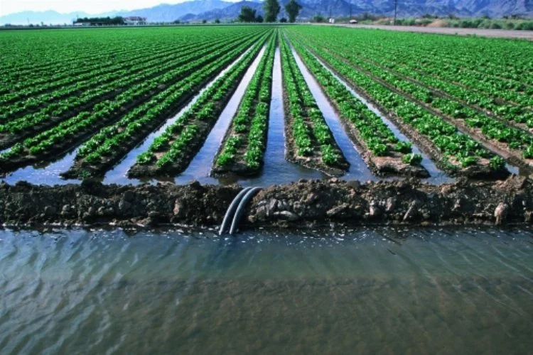 Tarımda su yönetimi ve sulama tekniklerinin iyileştirilmesi