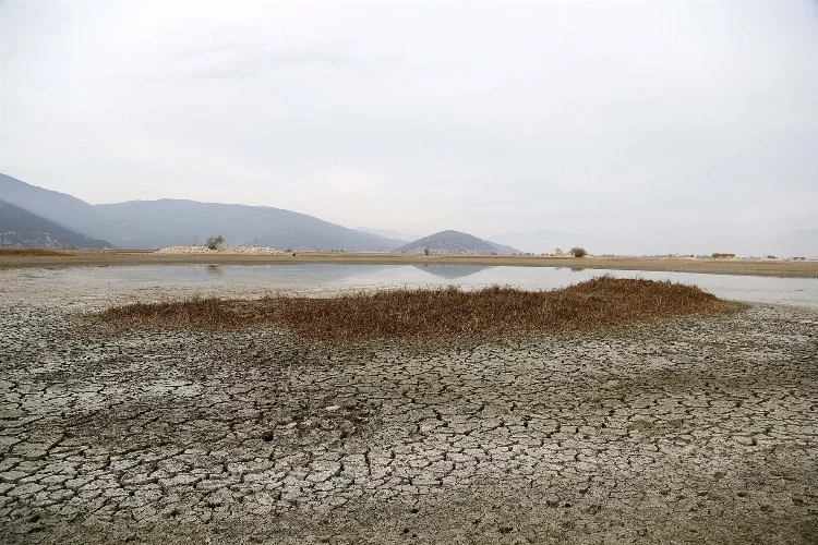 Tarımsal amaçlı kurutuldu, ekolojik denge bozuldu: Kestel Gölü