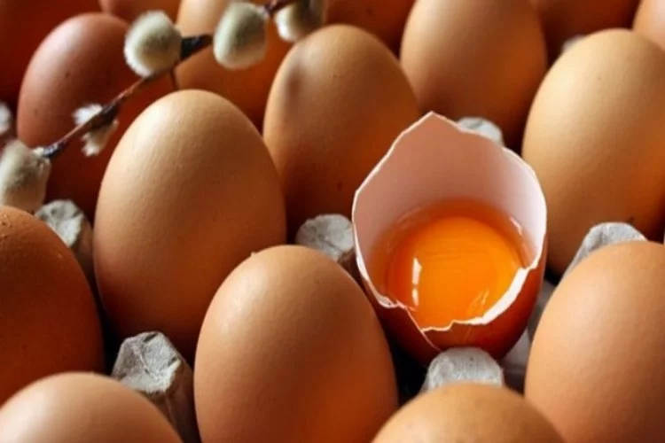 Tavuk yumurtası üretimi arttı!