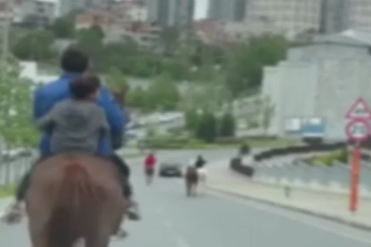 Trafikte ilginç görüntü: Caddede atlarla dolaştılar!