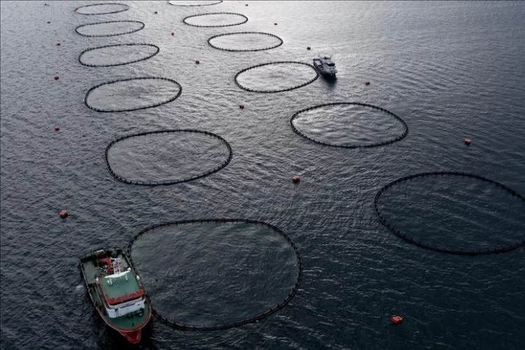 Türk balıkçılarının yeni rotası belli oldu