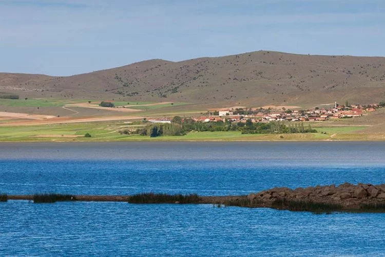 Türkiye'nin en önemli sulak alanlarından: Çavuşçu Gölü