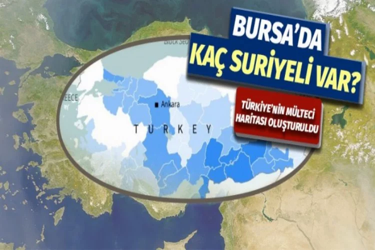 Türkiye'nin mülteci haritası belirlendi