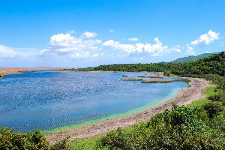 Türkiye'nin önemli sulak alanlarından: Gala Gölü
