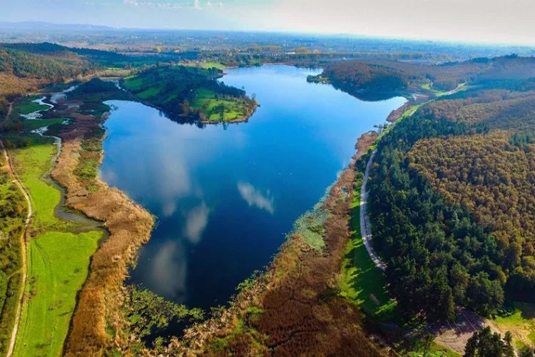Türkiye'nin tek parça halindeki en büyük longoz ormanı: Acarlar Longozu
