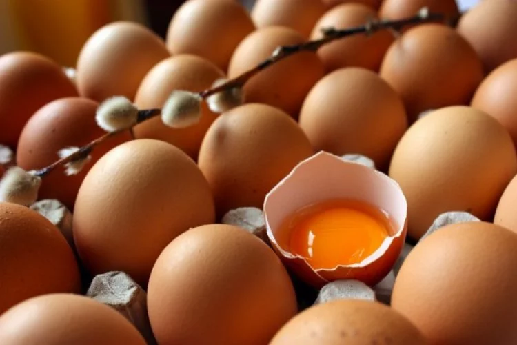 Türkiye yumurta ihracatında dünya ikincisi