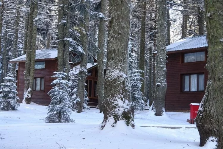 Uludağ'a kar yağdı, Orman Evleri'ne ilgi arttı