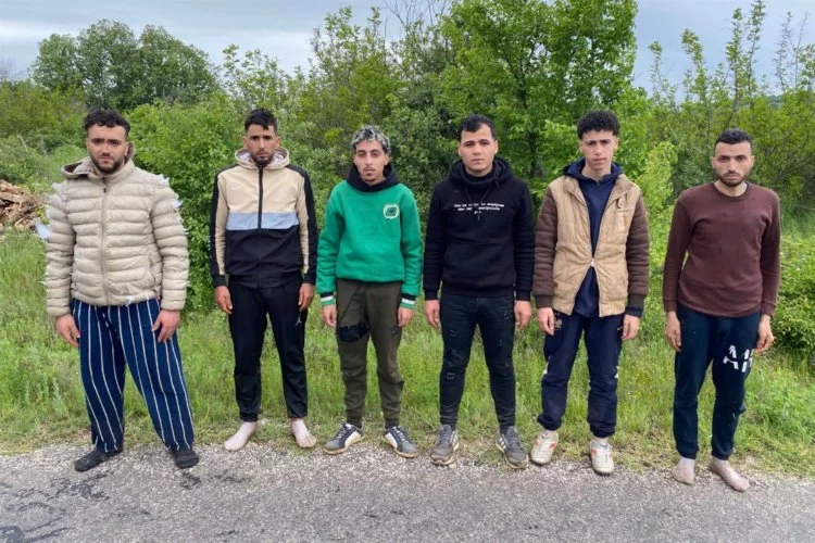 Yakalanan 6 düzensiz göçmen İl Göç İdaresine teslim edildi