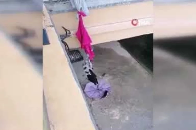 Yavru kediye şemsiyeli kurtarma