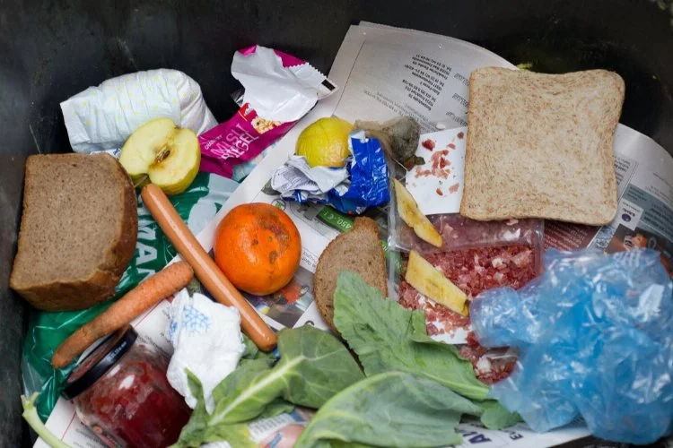 Yılda 2 milyar insana yetecek gıda çöpe atılıyor