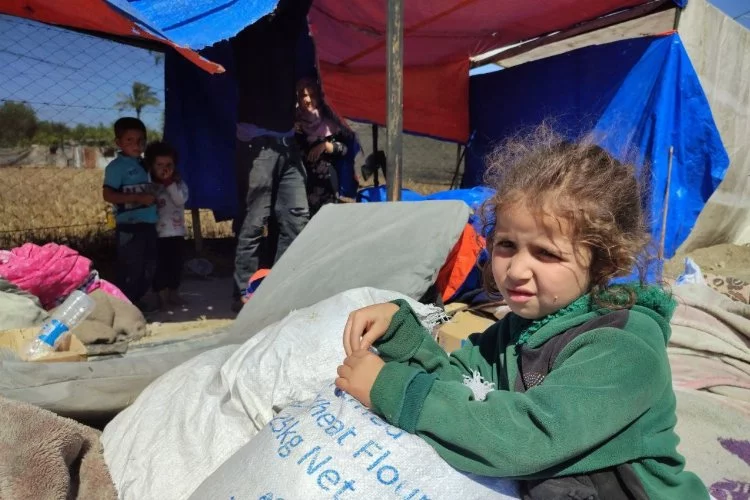 Zorla yerinden edilen Filistinliler çadır kampları kuruyor
